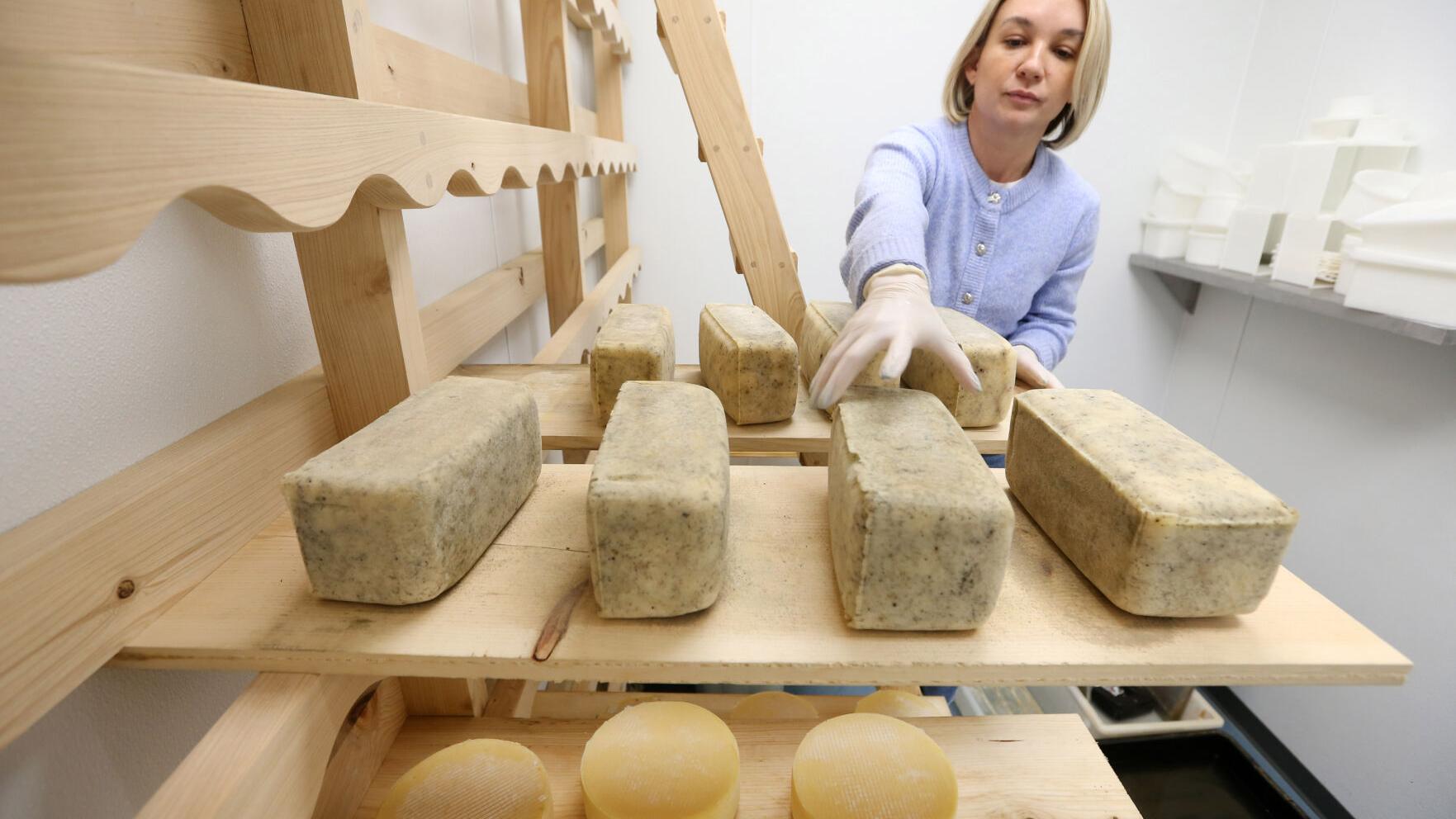 Johnston Hill Creamery offers handmade cheeses in Oxford
